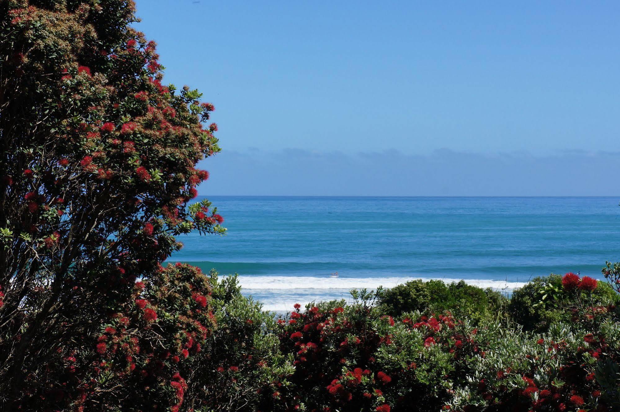 Fitzroy Beach Holiday Park ニュープリマス エクステリア 写真
