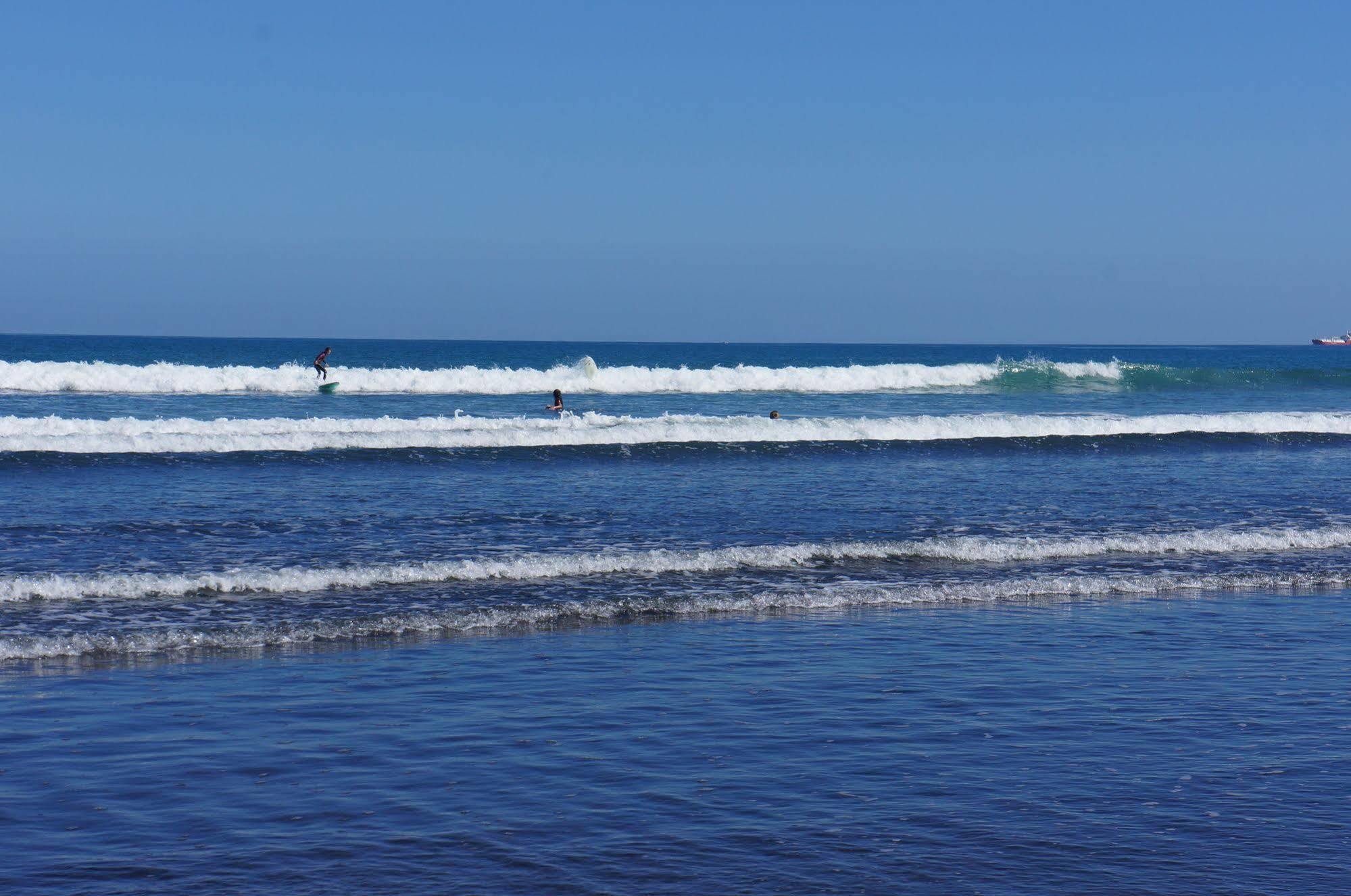 Fitzroy Beach Holiday Park ニュープリマス エクステリア 写真