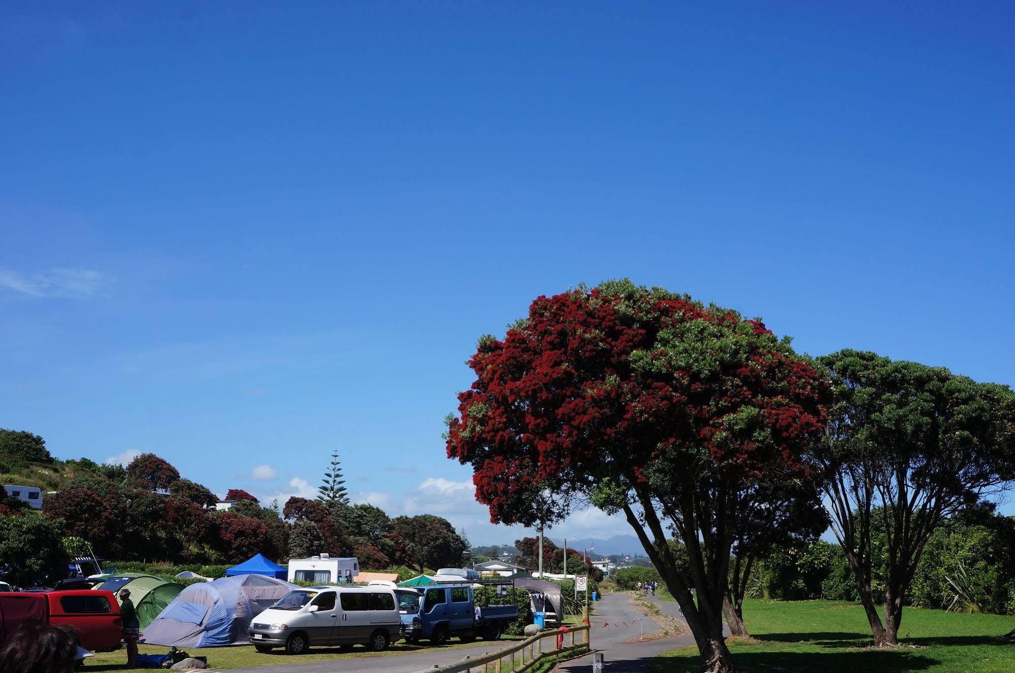 Fitzroy Beach Holiday Park ニュープリマス エクステリア 写真